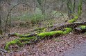 Wandertag 2016 - 043